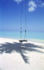 Swing on the beach above palm tree shadow Poster Print by Panoramic Images (24 x 36) - Item # PPI124212