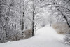 A Path Lined With Trees And Covered In Snow; Quebec, Canada PosterPrint - Item # VARDPI1871489
