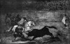 La Tauromaquia Series  Francisco Goya y Lucientes Poster Print - Item # VARSAL995103004