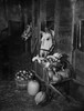 USA  vegetables and apples in wheelbarrow in barn interior with horses Poster Print - Item # VARSAL255424043