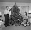 Mature couple decorating Christmas tree Poster Print - Item # VARSAL255417343