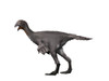 Avimimus is a theropod dinosaur from the Cretaceous Period Poster Print - Item # VARPSTNBT600073P