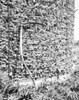 USA  Iowa  corn silo Poster Print - Item # VARSAL255422918