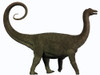 Saltasaurus was a sauropod dinosaur of the Cretaceous Period of Argentina Poster Print - Item # VARPSTCFR200262P