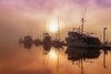 Fog lifting over Auke Bay Harbor, Juneau, Southeast Alaska PosterPrint - Item # VARDPI2429783