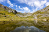 Reflection of the Talkeetna Mountains in a beaver pond near Reed Lakes Trail in Hatcher Pass In Southcentral Alaska, summer PosterPrint - Item # VARDPI12284879