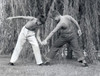 Two boys on lawn arm-wrestling Poster Print - Item # VARSAL25516296