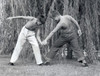 Two boys on lawn arm-wrestling Poster Print - Item # VARSAL25516296