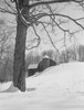 USA  Vermont  Barn and Silo Poster Print - Item # VARSAL255418782