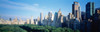 http://c328301.r1.cf1.rackcdn.com/PPI46219L.jpg