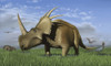 Group of dinosaurs grazing in a grassy field. Visible are Styracosaurus, Stegoceras, Udanoceratops and Quetzalcoatlus. Poster Print - Item # VARPSTMDE100030P