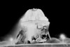 Malta  Valletta  fountain illuminated at night Poster Print - Item # VARSAL255423447