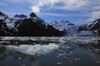 Scenic View Of Surprise Glacier In Prince William Sound, Alaska PosterPrint - Item # VARDPI2169630