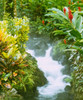 Waterfall  Tabacon  Costa Rica Poster Print by Panoramic Images (12 x 15) - Item # PPI101575