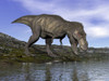 Tyrannosaurus rex dinosaur walking to the edge of water Poster Print - Item # VARPSTEDV600150P