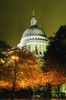 St Paul's Cathedral At Night With Trees PosterPrint - Item # VARDPI1885309