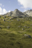 Scenic Of High Rugged Mountain Peaks And Green Tundra Hillside Near Reed Lakes In Archangel Valley, Talkeetna Mountains, Southcentral Alaska, Summer PosterPrint - Item # VARDPI2148270