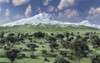 A herd of Albertaceratops grazing on a Cretaceous landscape Poster Print - Item # VARPSTMAS100838P