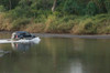 Sports utility vehicle crossing a river  Ora River  Playa Carrillo  Guanacaste  Costa Rica Poster Print by Panoramic Images (36 x 24) - Item # PPI108361