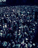 USA  New York State  New York City  Easter crowd on Fifth Avenue Poster Print - Item # VARSAL255424794