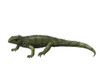 Gephyrosaurus is an extinct Rhynchocephalian from the Early Jurassic period of Wales Poster Print - Item # VARPSTNBT100172P
