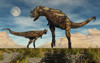 A pair of carnivorous Carnotaurus dinosaurs sizing each other up over a territorial dispute Poster Print - Item # VARPSTMAS100482P