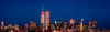New York City Skyline with World Trade Center Poster Print by Panoramic Images (42 x 12) - Item # PPI1501