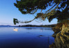Co Cork, Ahakista Harbour PosterPrint - Item # VARDPI1808854