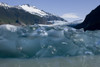 Recently Calved From The Terminus Of Mendenhall Glacier In Mendenhall Lake, An Iceberg Reveals The Blue Ice Glaciers Are So Well Known For. PosterPrint - Item # VARDPI2103874