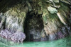 A cave has formed inside a limestone island in Raja Ampat, Indonesia. Caves are formed by carbonic acid eroding the limestone Poster Print - Item # VARPSTETH400129U