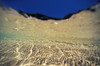 Underwater Reflections Along Sandy Bottom, At Surface Blue Sky Visible PosterPrint - Item # VARDPI1998013
