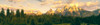 Conifers trees with mountain range in the background, Teton Range, Snake River, Grand Teton National Park, Wyoming, USA Poster Print - Item # VARPPI168152