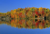 Reflected Autumn Trees In Simon Lake, Naughton, Ontario PosterPrint - Item # VARDPI2025902