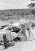 Parents with children loading suitcases into car Poster Print - Item # VARSAL255419084