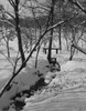 USA  New Jersey  Patterson  Brook in winter snow Poster Print - Item # VARSAL255423084