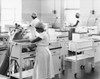 Female nurses examining newborn babies in incubators Poster Print - Item # VARSAL25533886