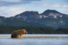 http://c328301.r1.cf1.rackcdn.com/DPI2383715LARGE.jpg