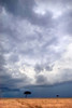 http://c328301.r1.cf1.rackcdn.com/PPI89822.jpg