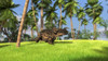 Brown Einiosaurus walking across a grassy field Poster Print - Item # VARPSTKVA600654P