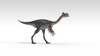 Gigantoraptor dinosaur, white background Poster Print - Item # VARPSTKVA600740P