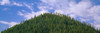 http://c328301.r1.cf1.rackcdn.com/PPI160263L.jpg
