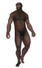 Male homo erectus looking aside, white background Poster Print