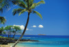Hawaii, Maui, Island Of Kahoolawe And Molokini Viewed From Makena PosterPrint - Item # VARDPI1996166