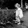 Girl watering flowers Poster Print - Item # VARSAL255416963