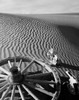 High angle view of a wagon wheel and skulls in a desert  Death Valley  California  USA Poster Print - Item # VARSAL2552280