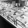 High angle view of newborn babies in a hospital nursery Poster Print - Item # VARSAL25514672