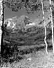 Maroon Bells  Colorado  USA Poster Print - Item # VARSAL25522231