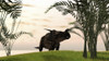 Brown Einiosaurus walking in a field Poster Print - Item # VARPSTKVA600193P