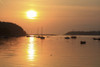Bantry Bay, Bantry, Co Cork, Ireland; Sunset Over Harbour PosterPrint - Item # VARDPI1844910