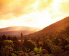 Monastic Site, Glendalough, Co Wicklow, Ireland PosterPrint - Item # VARDPI1812230
